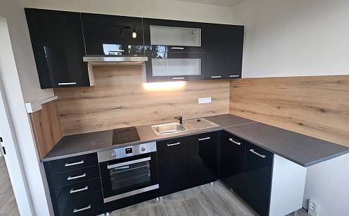 Pronájem bytu 4+1 85 m², Moskevská, Most