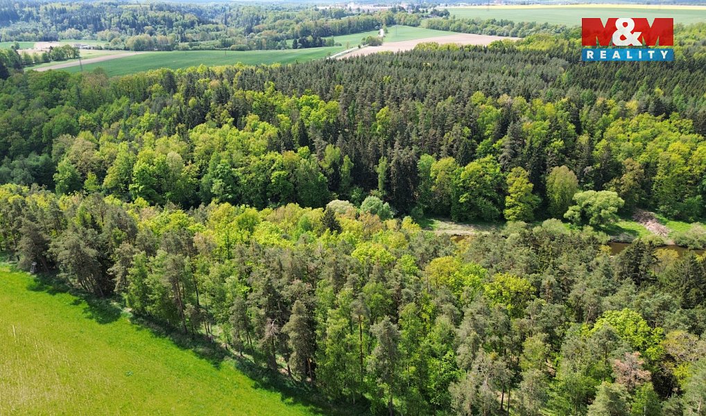 Prodej lesa 79 857 m², Černýšovice – náhled fotky 3
