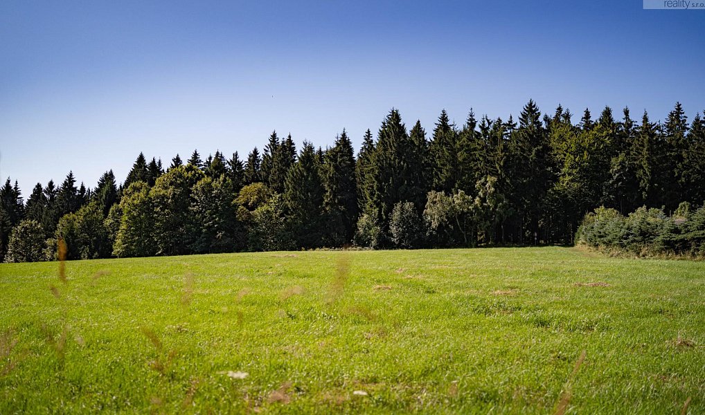 Prodej chaty/chalupy 115 m² s pozemkem 1 491 m², Český Jiřetín – náhled fotky 18