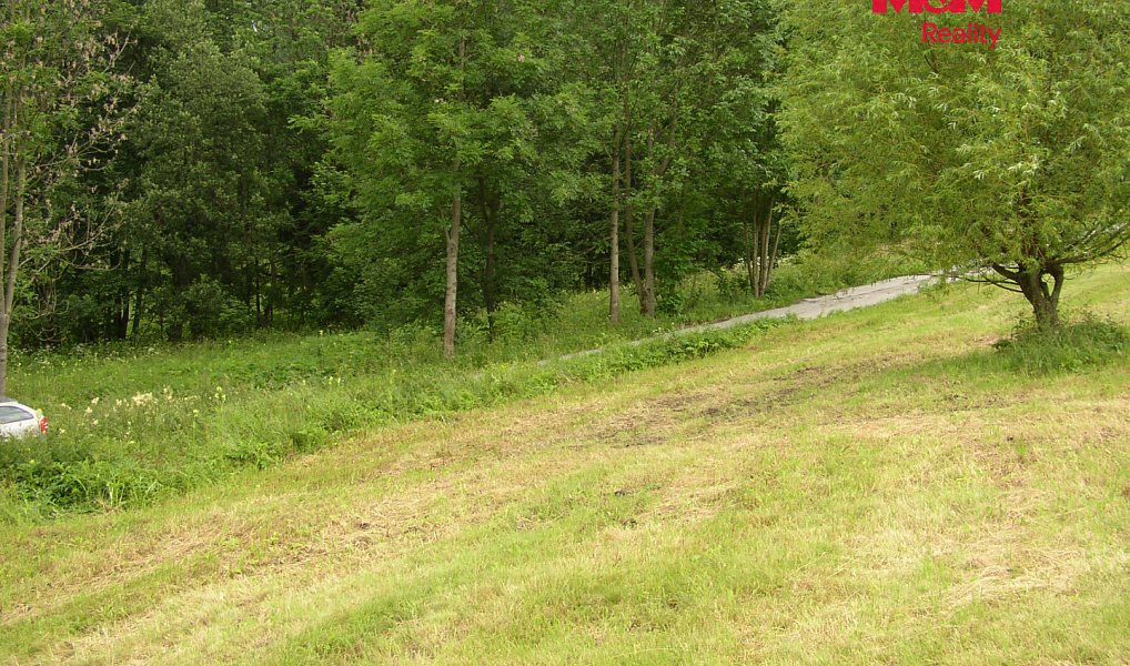 Prodej louky 4 214 m², Benecko – náhled fotky 8