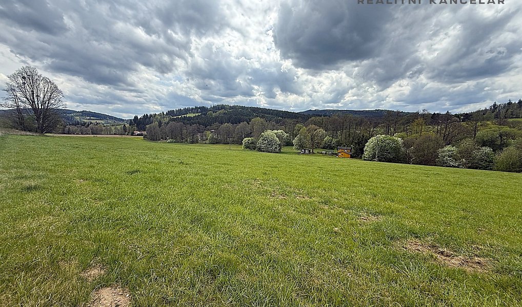 Prodej louky 17 174 m², Březiny – náhled fotky 8