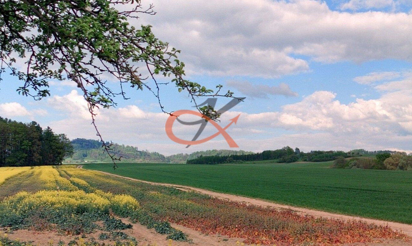 Prodej pole 2 192 m² – fotografie 2