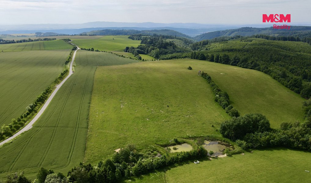 Prodej louky 18 398 m², Hranice – náhled fotky 2