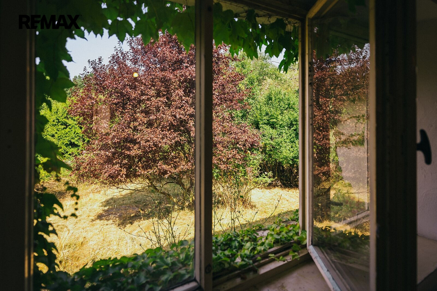 Prodej domu 192 m² s pozemkem 2 495 m² – fotografie 5