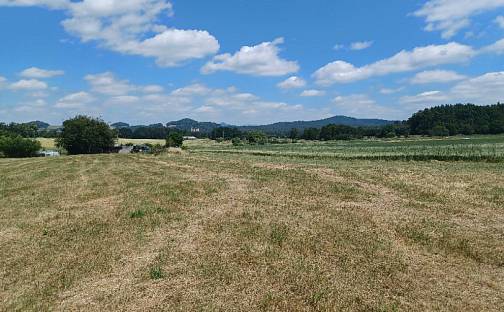 Dražba pozemku 13 769 m², Jestřebí