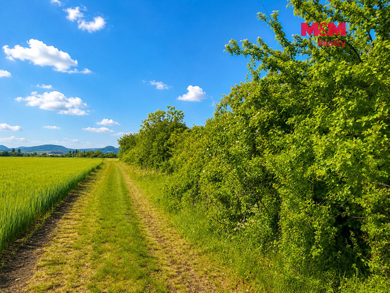 Prodej zahrady 1 690 m² – fotografie 4