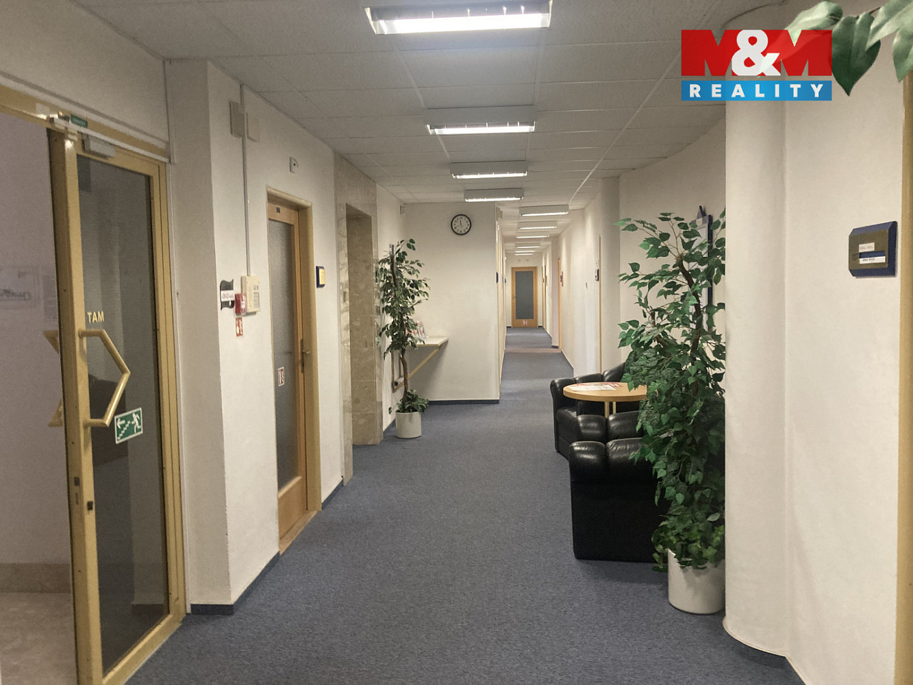 Pronájem kanceláře 36 m² – pohled 6