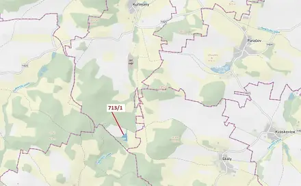 Dražba lesa 5 067 m², Kuřimany