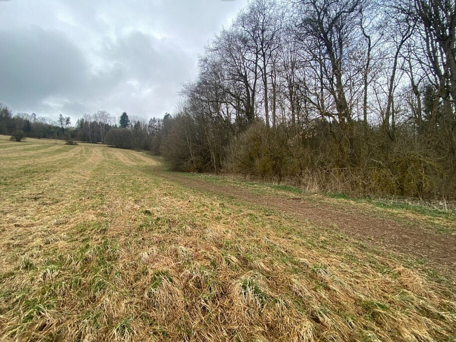 Dražba louky 7 826 m²