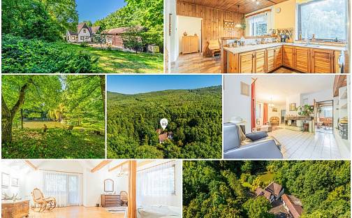 Prodej domu 450 m² s pozemkem 3 182 m², Hostomice, okres Beroun