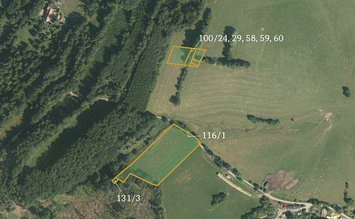 Prodej pole 21 816 m², Kaliště, okres Pelhřimov