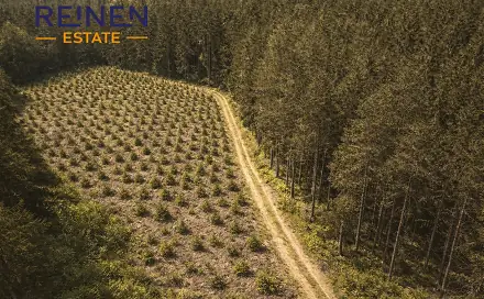 Prodej lesa 38 985 m², Křeč, okres Pelhřimov