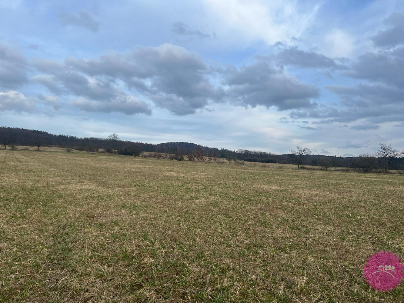 Prodej pole 13 030 m² — photo 4