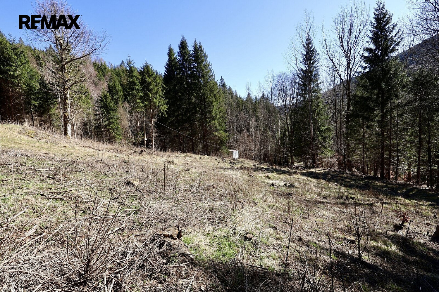 Prodej stavebního pozemku 7 880 m² – fotografie 2