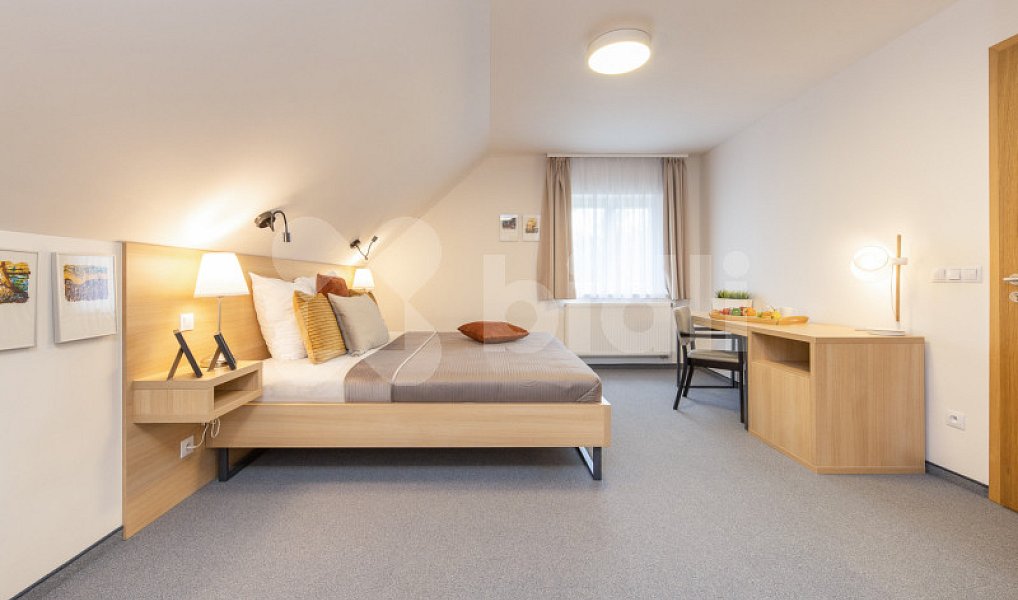 Prodej ubytovacího objektu 370 m², Malá Morávka – náhled fotky 20