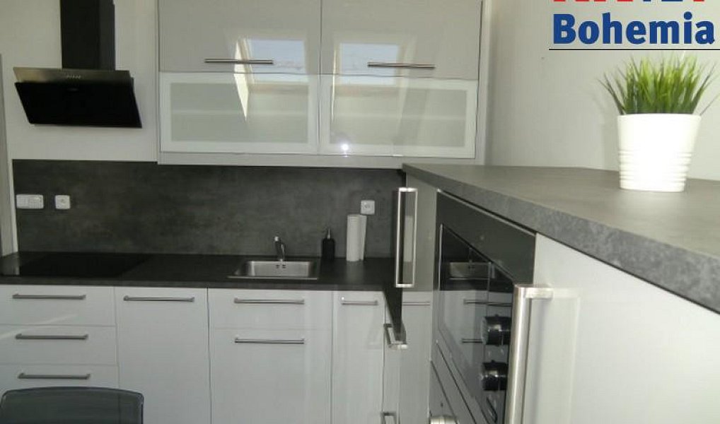Pronájem bytu 2+kk 52 m², Benátky nad Jizerou – náhled fotky 4