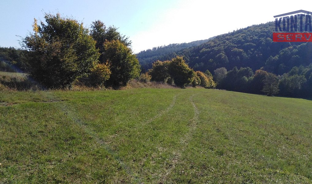 Prodej pole 9 092 m², Podkopná Lhota – náhled fotky 7