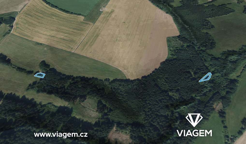Prodej lesa 917 m², Příkrý – náhled fotky 2