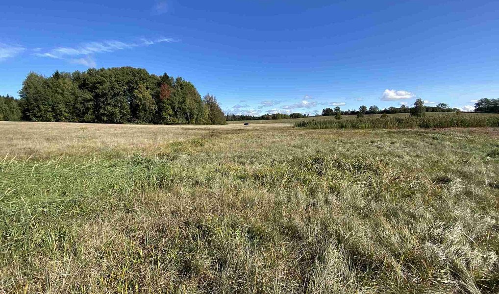Prodej pole 4 706 m², Nový Rychnov – náhled fotky 2