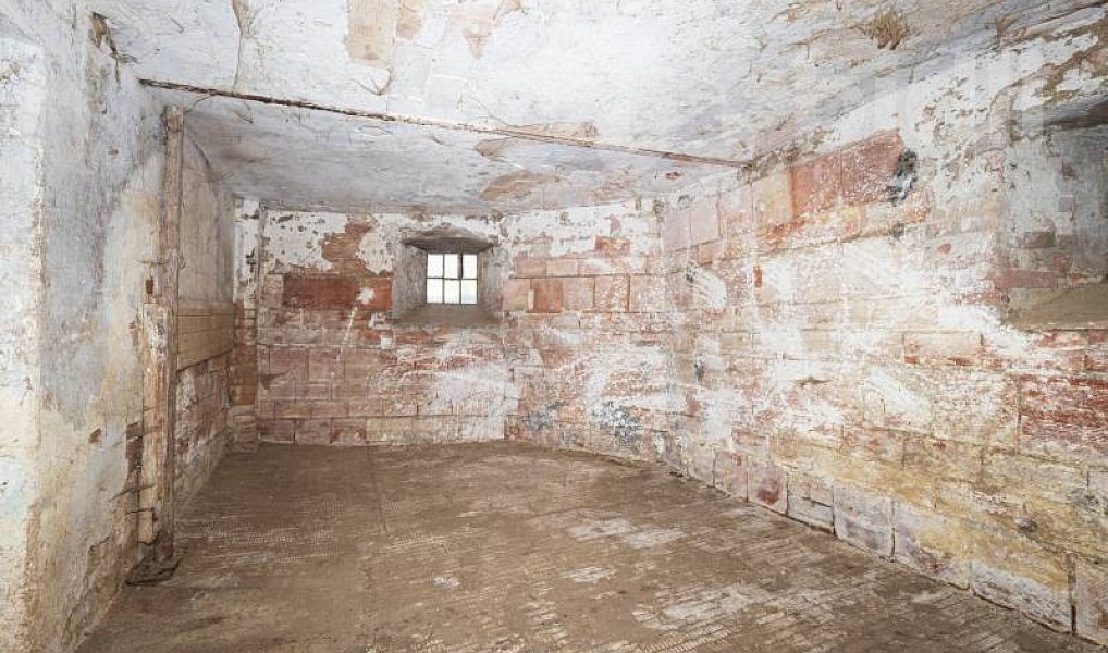 Prodej zemědělského objektu 150 m², Sejřek – náhled fotky 18