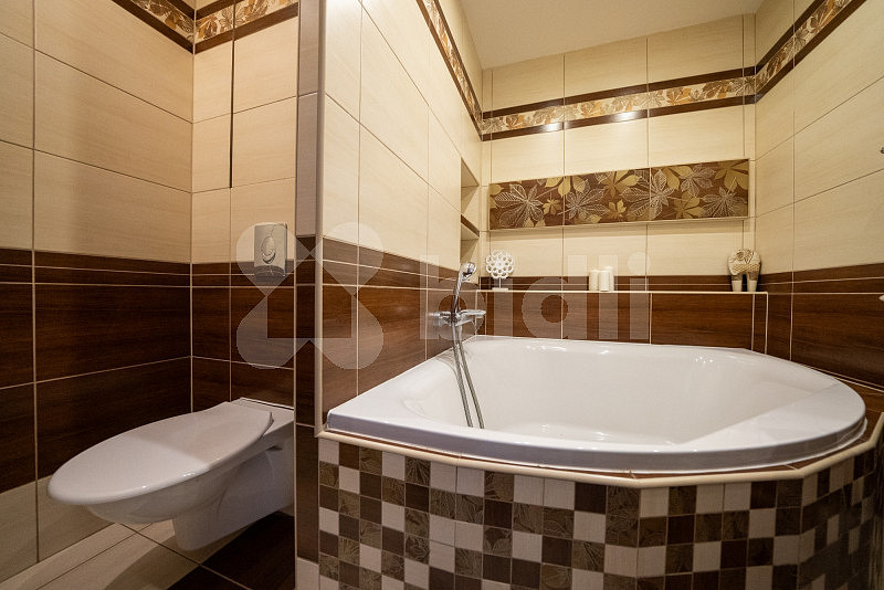 Pronájem bytu 2+1 65 m² – pohled 3