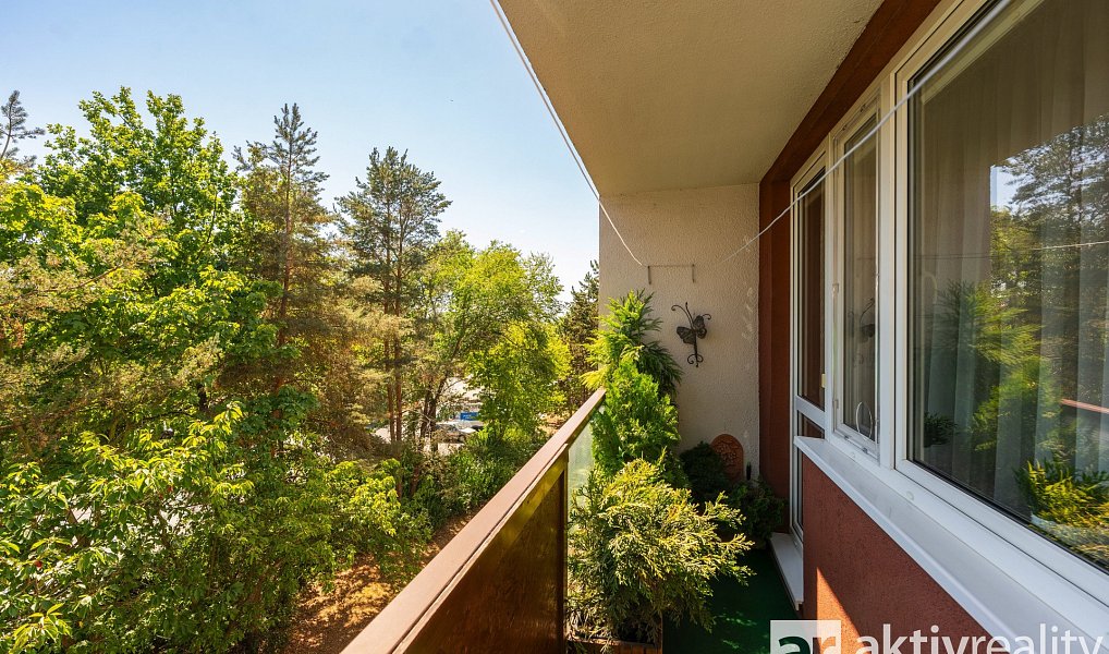 Prodej bytu 4+1 95 m², Praha – náhled fotky 7