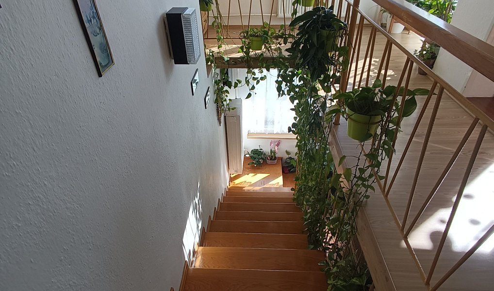 Prodej domu 220 m² s pozemkem 539 m², Němčice nad Hanou – náhled fotky 10