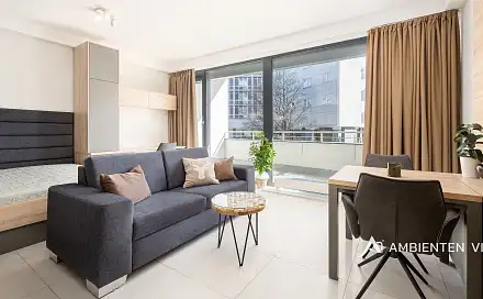 Pronájem bytu 1+kk 42 m², Mezírka, Brno - Veveří