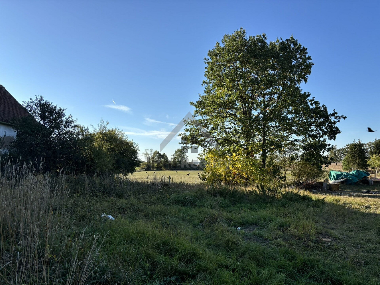 Prodej stavebního pozemku 1 076 m² – fotografie 2