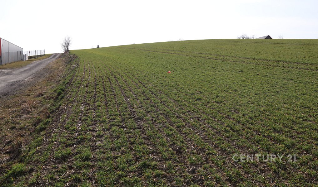 Prodej stavebního pozemku 5 420 m², Hrabyně – náhled fotky 4