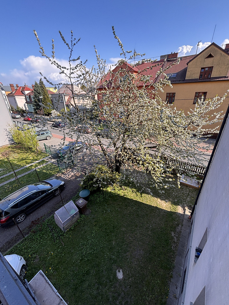 Pronájem bytu 1+1 50 m² — photo 3