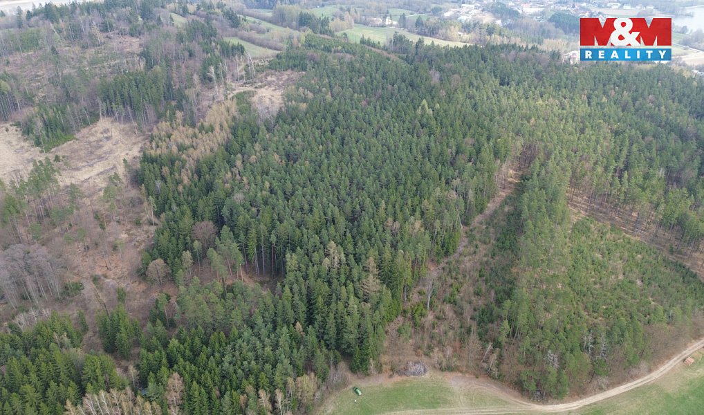 Prodej lesa 7 873 m², Mrákotín – náhled fotky 5