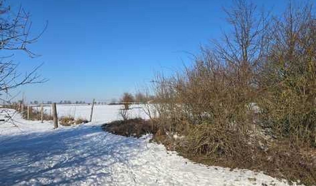 Pronájem komerčního pozemku 6 110 m², Ořech – náhled fotky 4