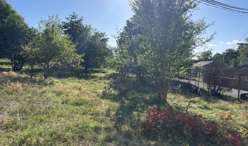 Prodej pozemku, 3530 m², Prosečnice - Benešov, Krhanice