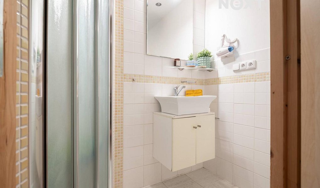 Prodej domu 335 m² s pozemkem 1 532 m², Lhenice – náhled fotky 19