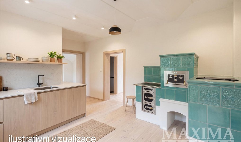 Prodej domu 272 m² s pozemkem 4 893 m², Starý Kolín – náhled fotky 3