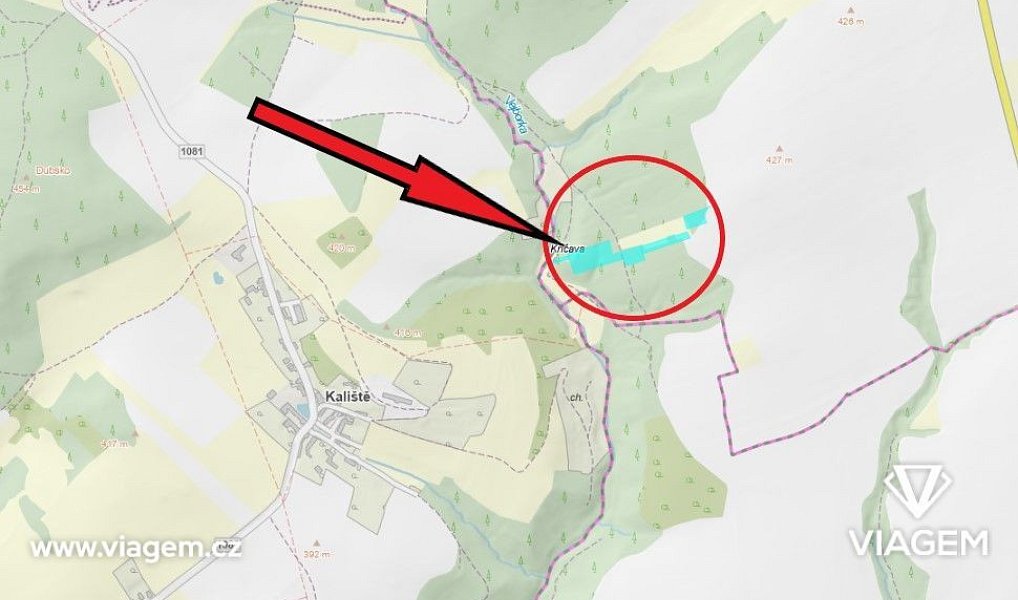 Prodej lesa 7 382 m², Ondřejov – náhled fotky 5