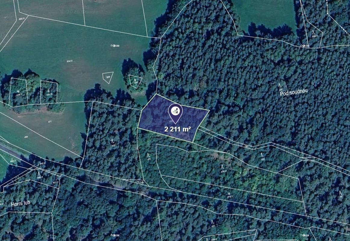 Prodej lesa 10 026 m² – fotografie 3