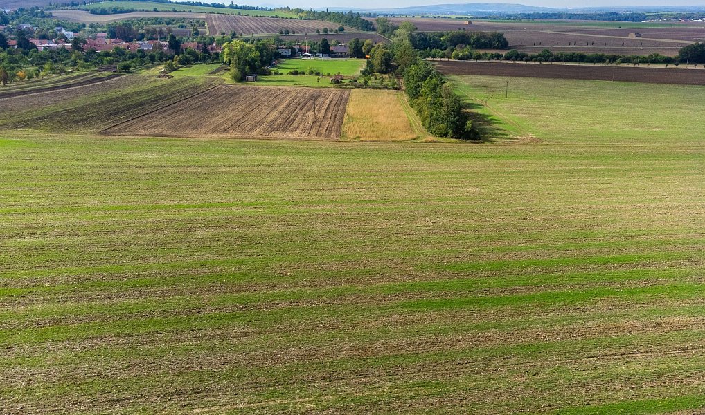 Prodej pole 5 903 m², Prace – náhled fotky 21