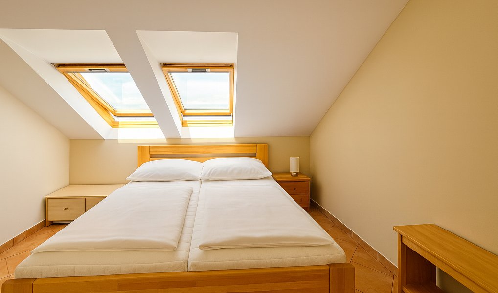 Prodej vily 460 m² s pozemkem 1 773 m², Podhradí – náhled fotky 8