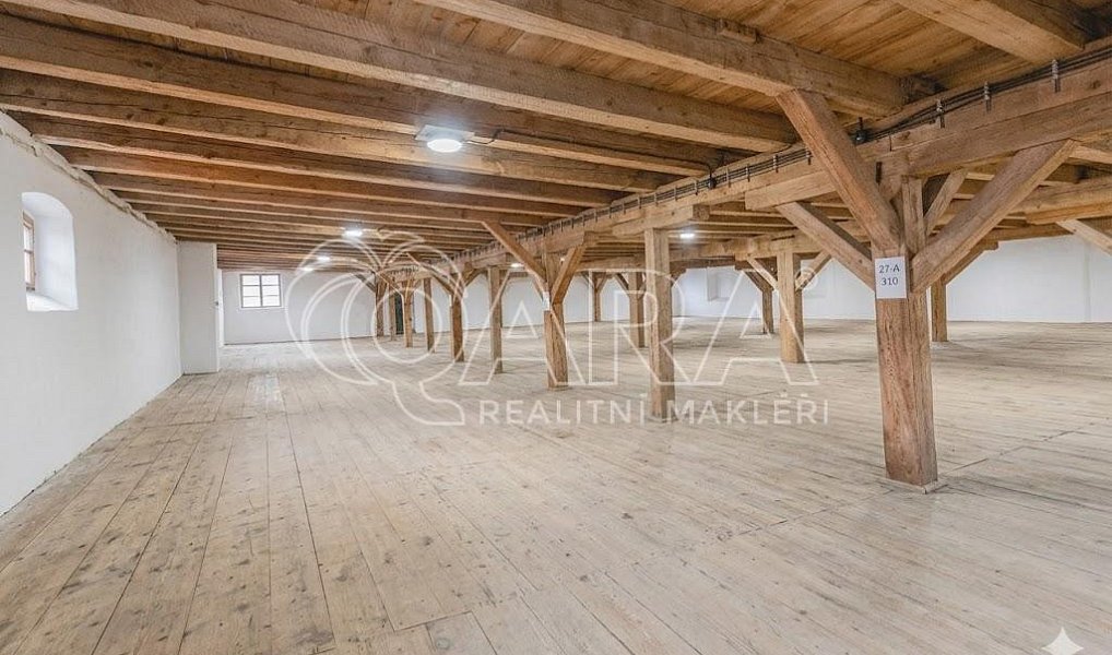 Prodej výrobních prostor 9 000 m², Stod – náhled fotky 5