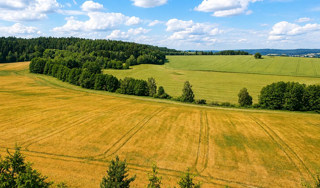 Prodej domu 263 m² s pozemkem 3 091 m², Staré Město pod Landštejnem – náhled fotky 24