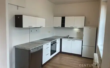 Prodej bytu 1+1 36 m², Elišky Krásnohorské, Havířov - Podlesí, okres Karviná