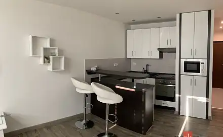 Pronájem bytu 1+kk 26 m², Gen. Píky, Ostrava - Moravská Ostrava
