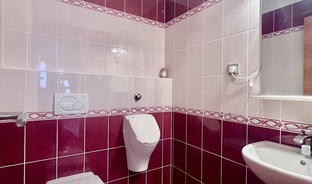 Prodej domu 229 m² s pozemkem 1 404 m², Blansko – náhled fotky 11