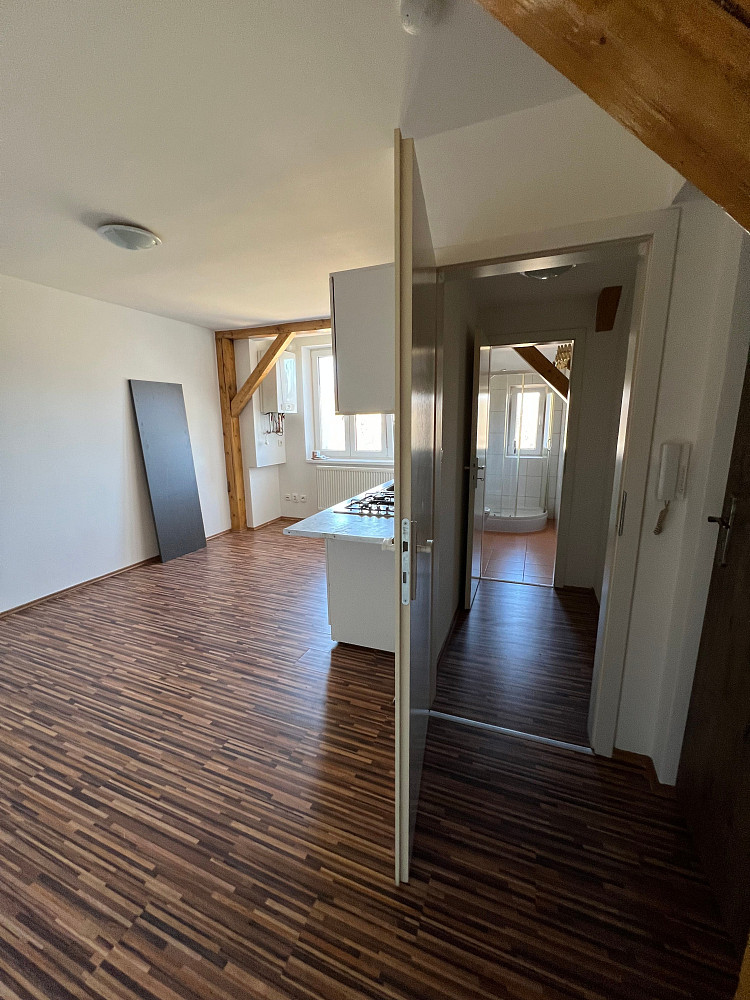 Pronájem bytu 1+kk 21 m² — photo 4