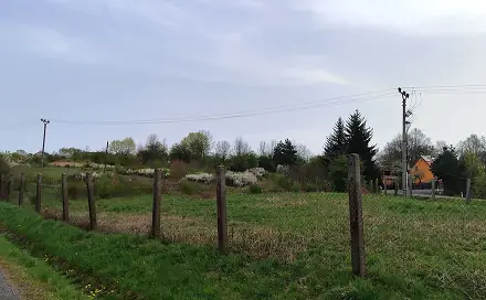Prodej komerčního pozemku 6 152 m², Stará cesta, Dalovice - Všeborovice, okres Karlovy Vary