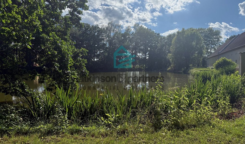 Prodej chaty/chalupy 1 600 m² s pozemkem 919 488 m², Břehov – náhled fotky 15