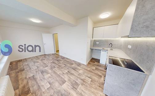 Pronájem bytu 1+kk 25 m², Janáčkova, Frýdek-Místek - Místek