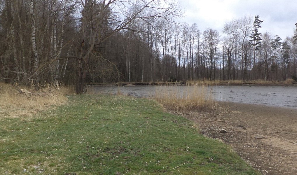 Prodej pozemku 6 727 m², Chlum u Třeboně – náhled fotky 2
